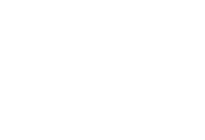 Logo LC Corporativo
